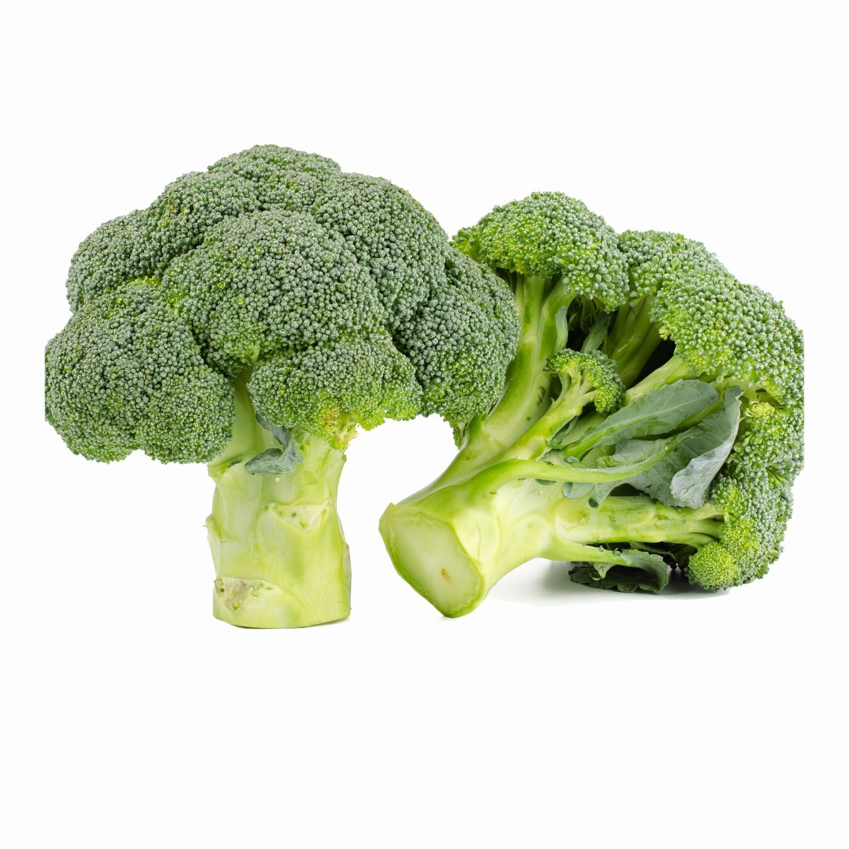 New Natural Ingredient Broccoli Seed Oil