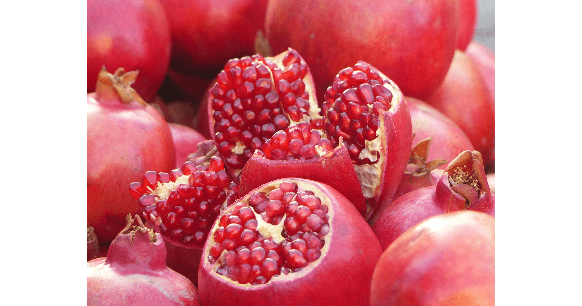 pomegranate blog  x 380 x 200 -2.png