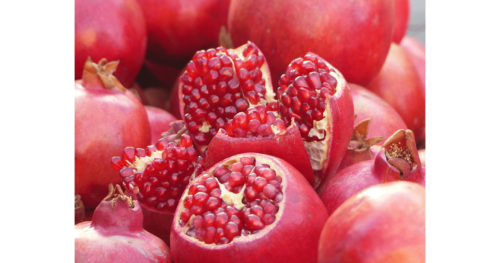 pomegranate blog x 380 x 200 -2.png
