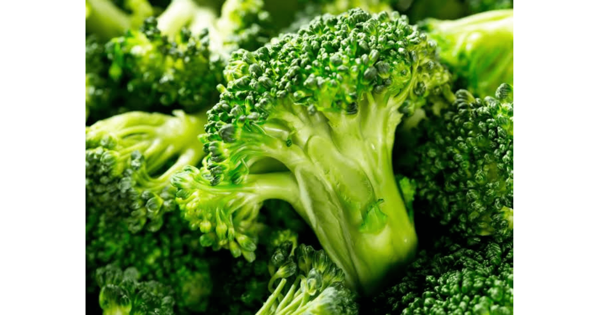 broccoli website 380 x 200 - 2.png